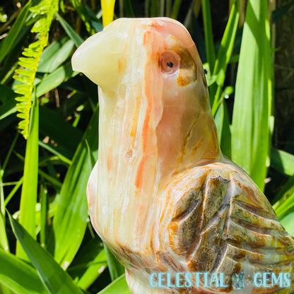 Banded Onyx Calcite Bird XL Carving