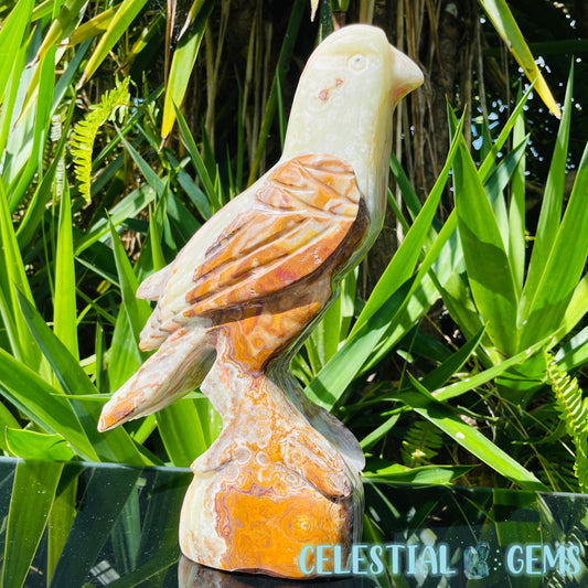 Banded Onyx Calcite Bird XL Carving