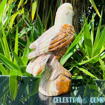 Banded Onyx Calcite Bird XL Carving