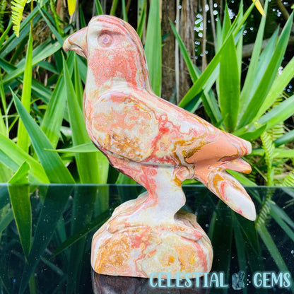 Banded Onyx Calcite Bird Large Carving