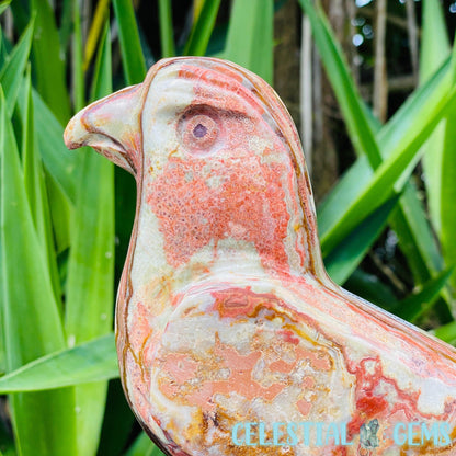 Banded Onyx Calcite Bird Large Carving