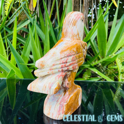 Banded Onyx Calcite Bird Large Carving