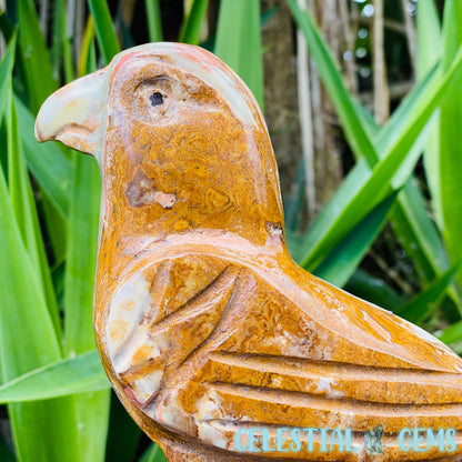 Banded Onyx Calcite Bird Large Carving