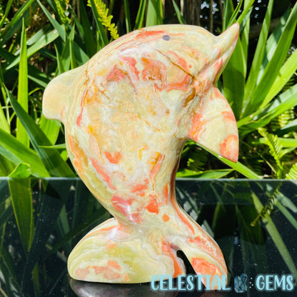 Banded Onyx Calcite Dolphin Large Carving