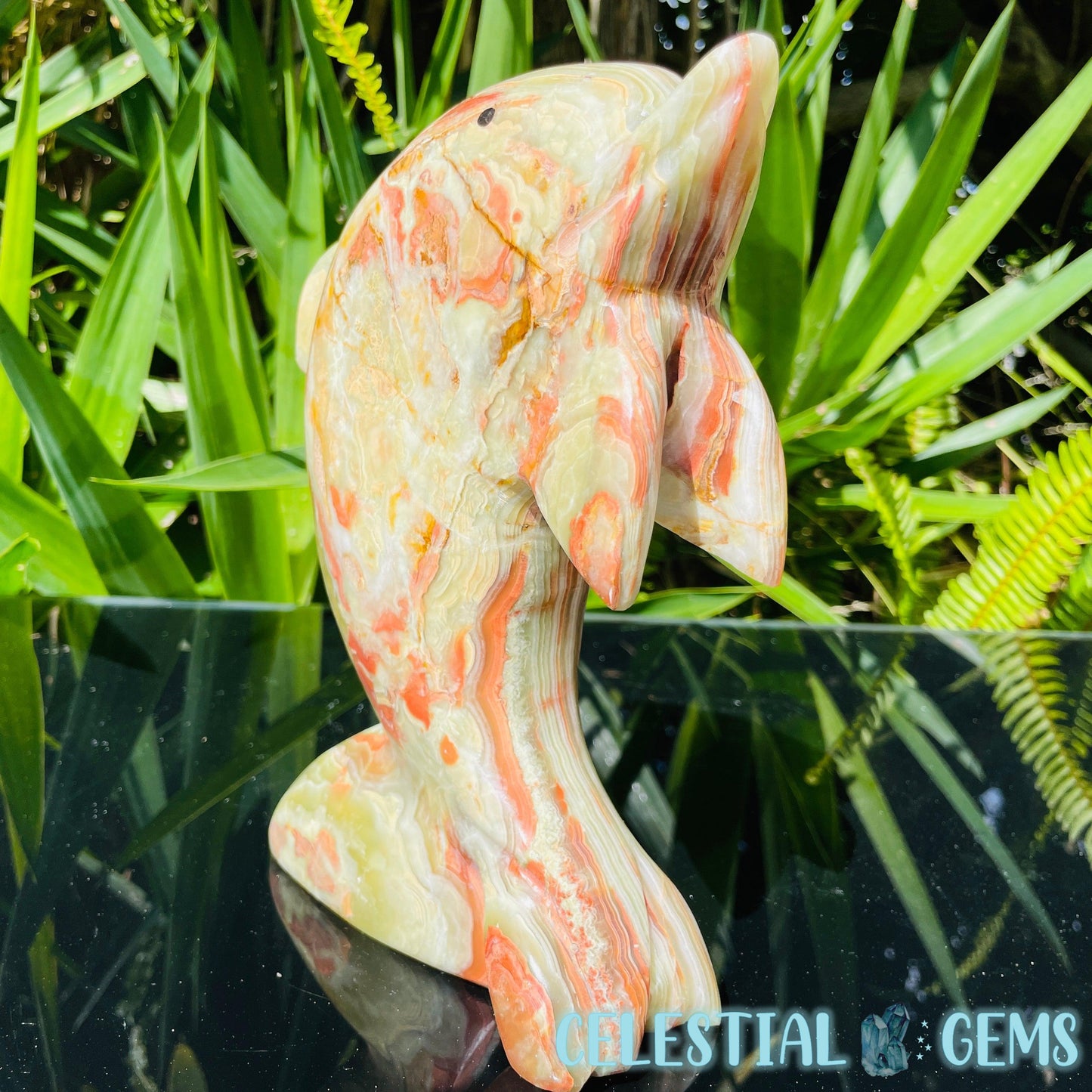 Banded Onyx Calcite Dolphin Large Carving