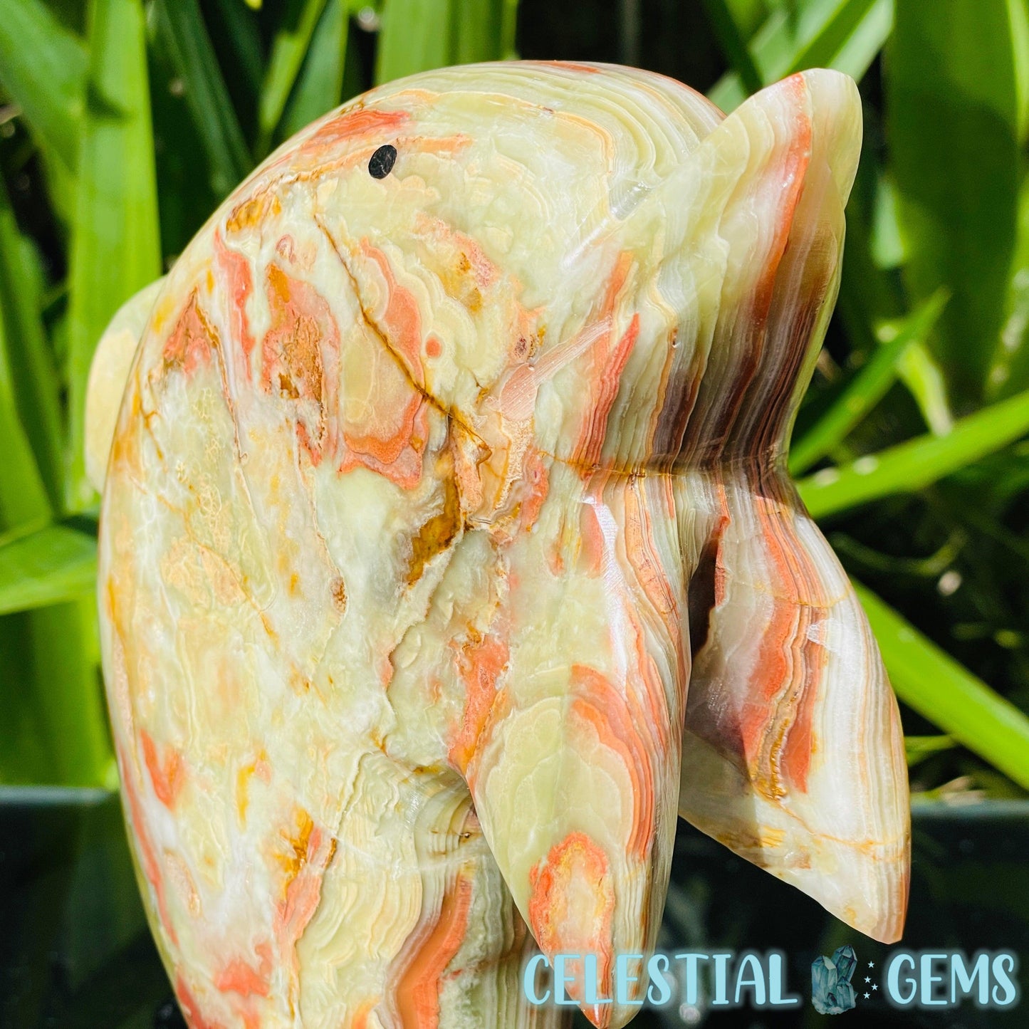 Banded Onyx Calcite Dolphin Large Carving