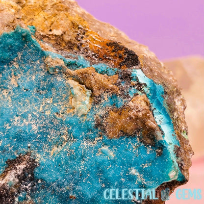 RARE Druzy Chrysocolla on Matrix Medium Chunk