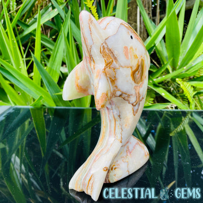 Banded Onyx Calcite Dolphin Large Carving