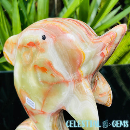 Banded Onyx Calcite Dolphin Large Carving