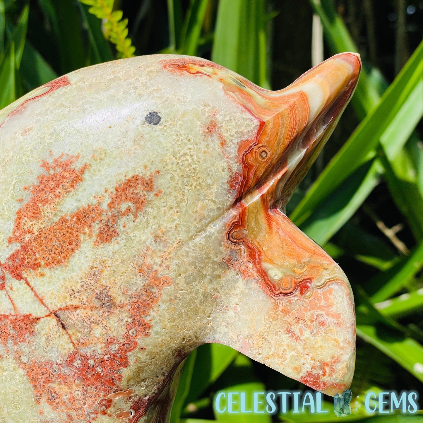 Banded Onyx Calcite Dolphin Large Carving