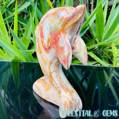 Banded Onyx Calcite Dolphin Large Carving