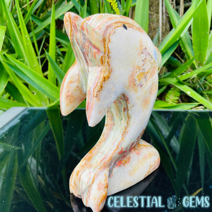 Banded Onyx Calcite Dolphin Large Carving