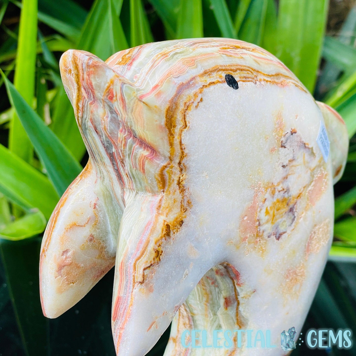 Banded Onyx Calcite Dolphin Large Carving