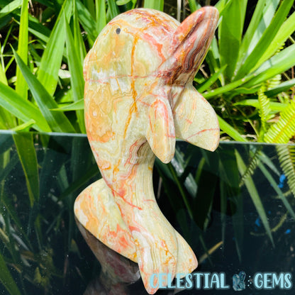 Banded Onyx Calcite Dolphin Large Carving