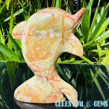 Banded Onyx Calcite Dolphin Large Carving