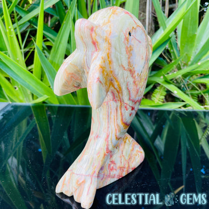 Banded Onyx Calcite Dolphin Large Carving