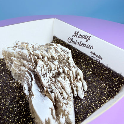 Rare Christmas Tree Selenite Specimen, Germany