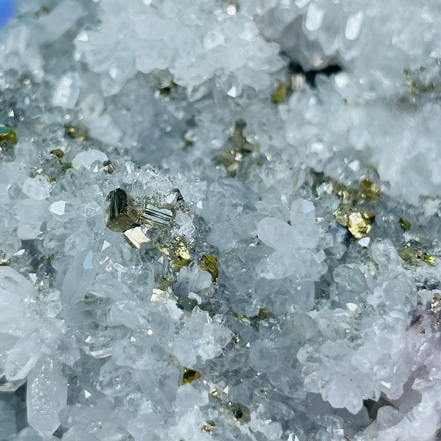 Chrysanthemum  Quartz + Pyrite + Wolframite Medium Cluster Specimen