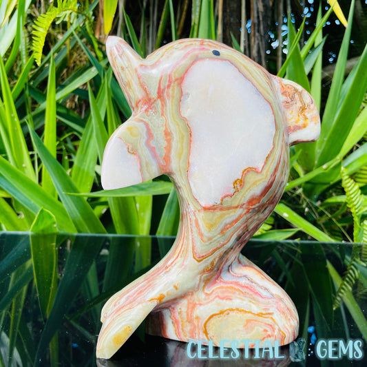 Banded Onyx Calcite Dolphin Large Carving