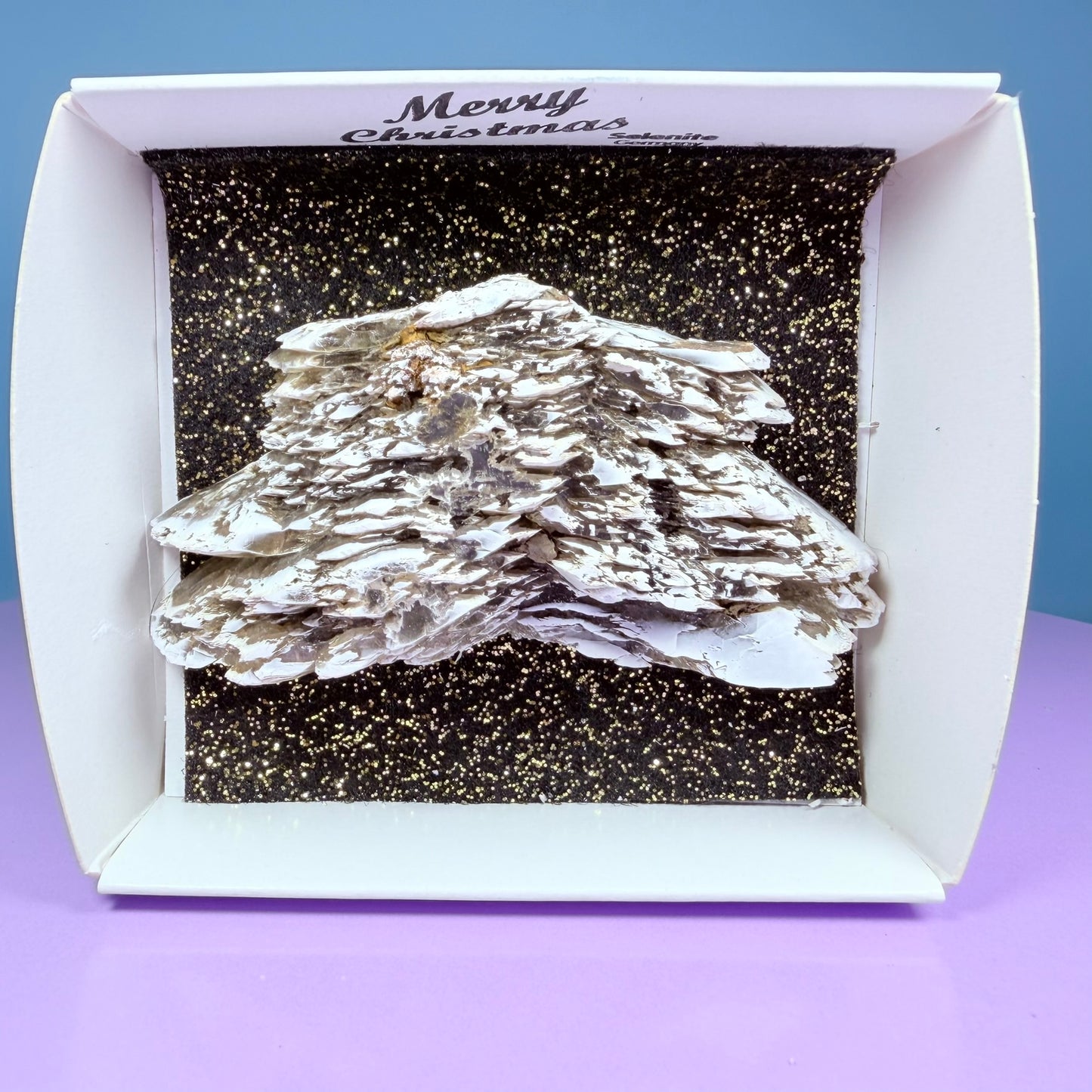 Rare Christmas Tree Selenite Specimen, Germany