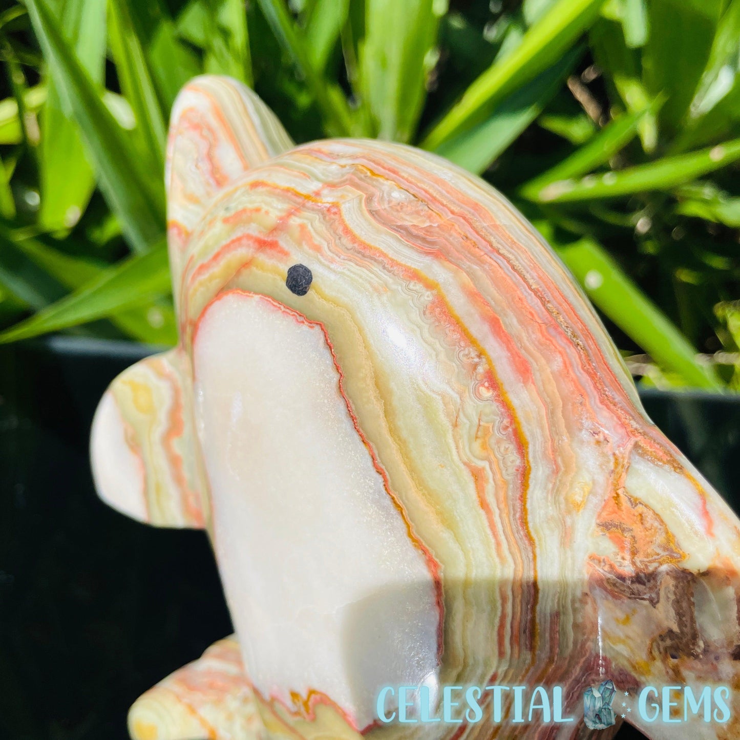 Banded Onyx Calcite Dolphin Large Carving