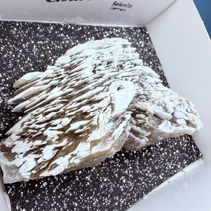 Rare Christmas Tree Selenite Specimen, Germany