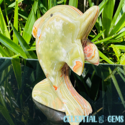 Banded Onyx Calcite Dolphin Large Carving