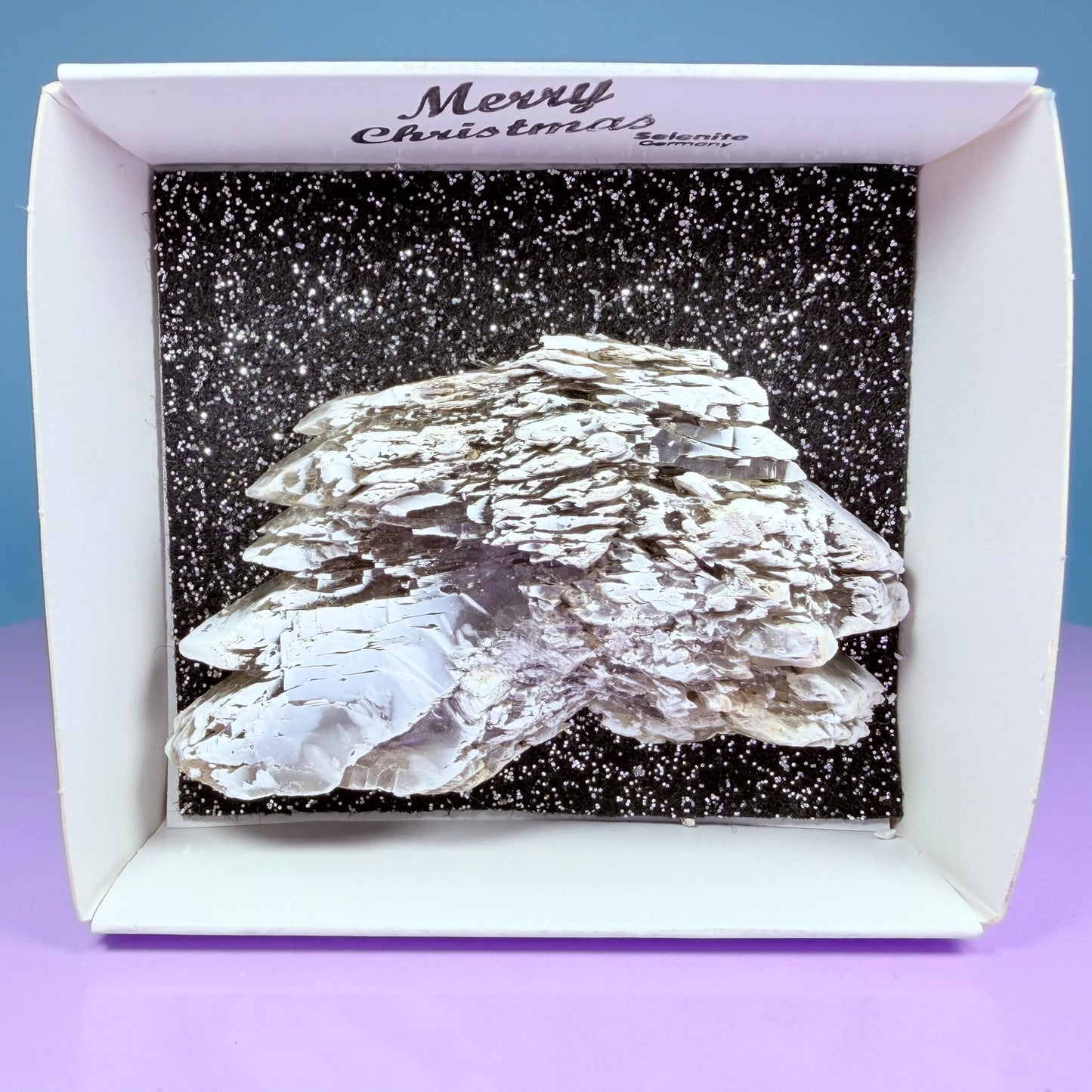 Rare Christmas Tree Selenite Specimen, Germany