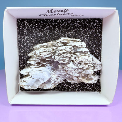 Rare Christmas Tree Selenite Specimen, Germany