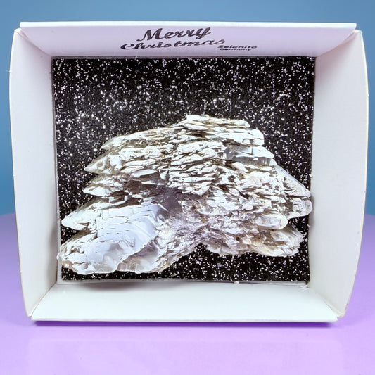 Rare Christmas Tree Selenite Specimen, Germany
