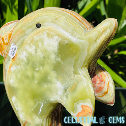 Banded Onyx Calcite Dolphin Large Carving