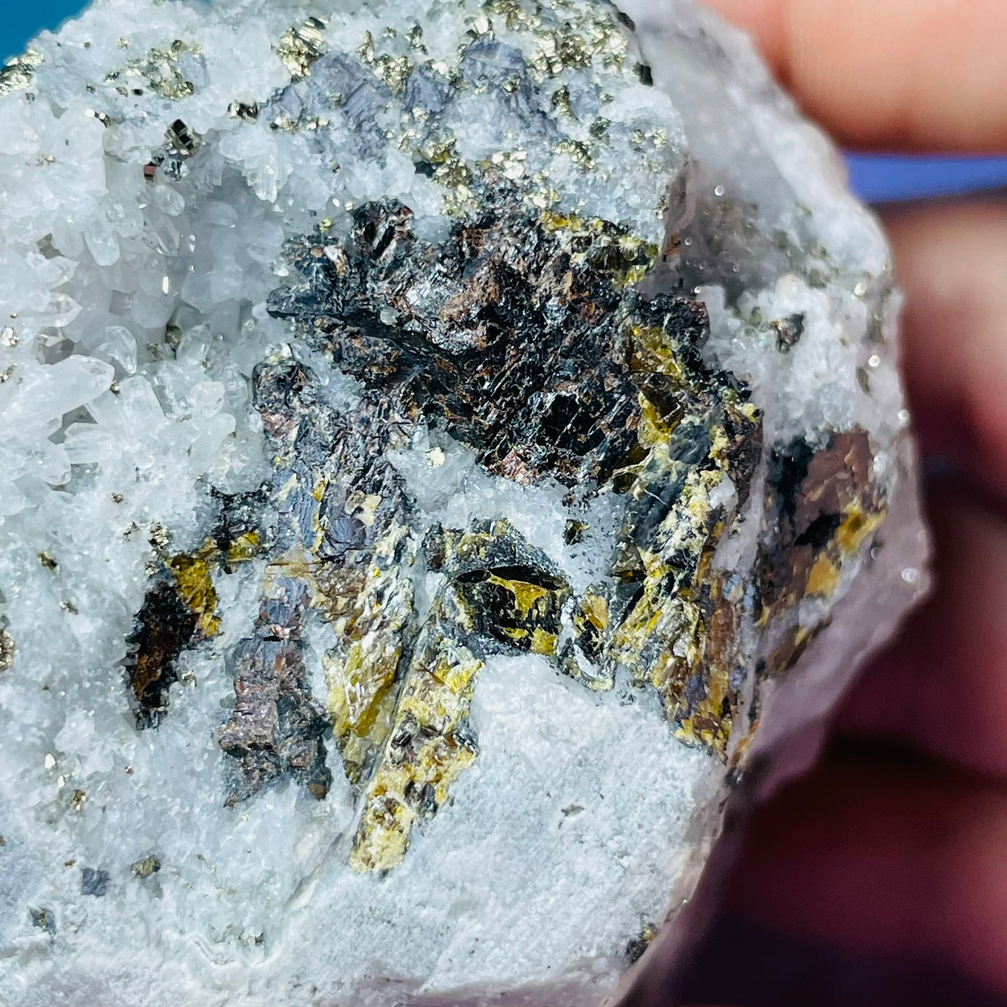 Chrysanthemum  Quartz + Pyrite + Wolframite Medium Cluster Specimen