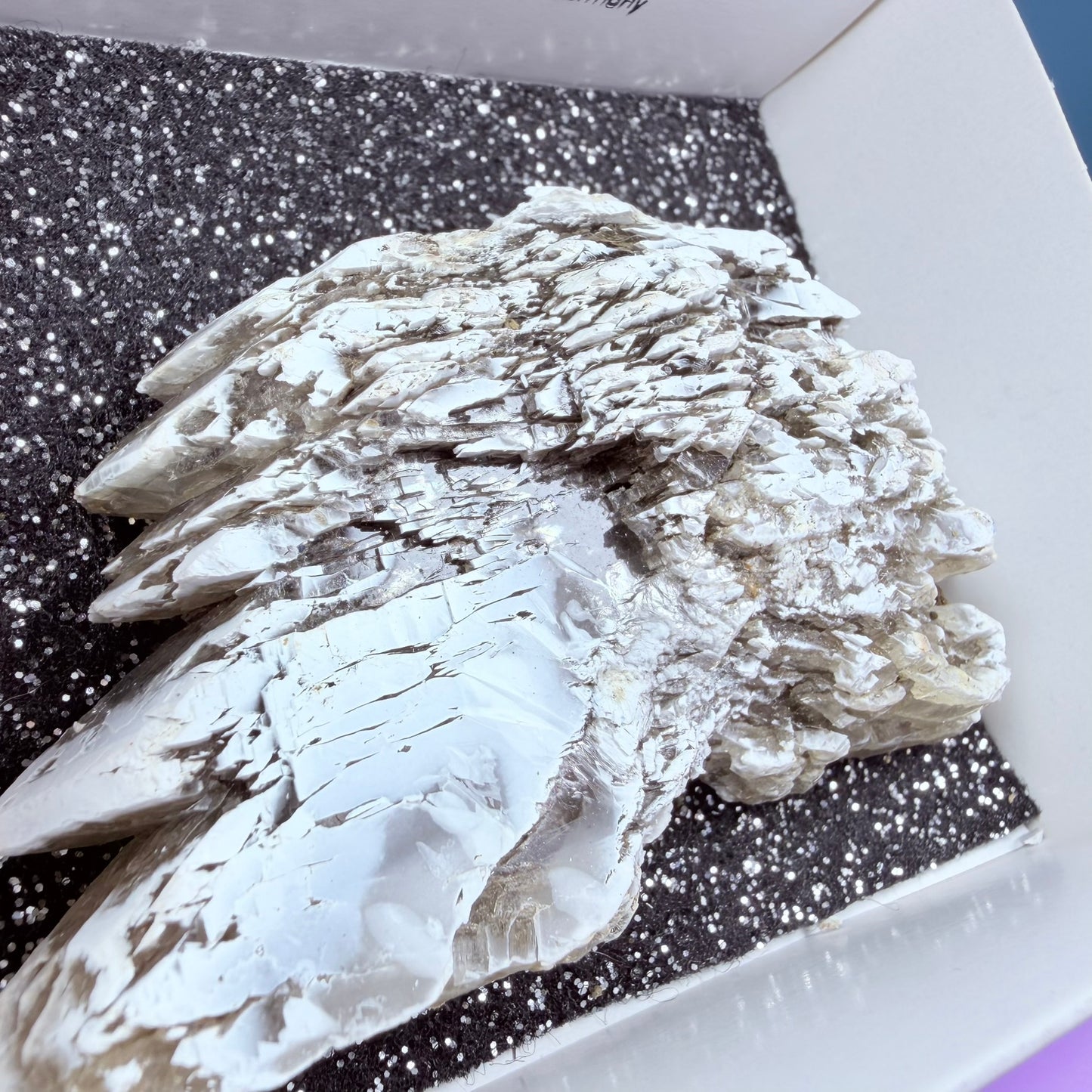 Rare Christmas Tree Selenite Specimen, Germany