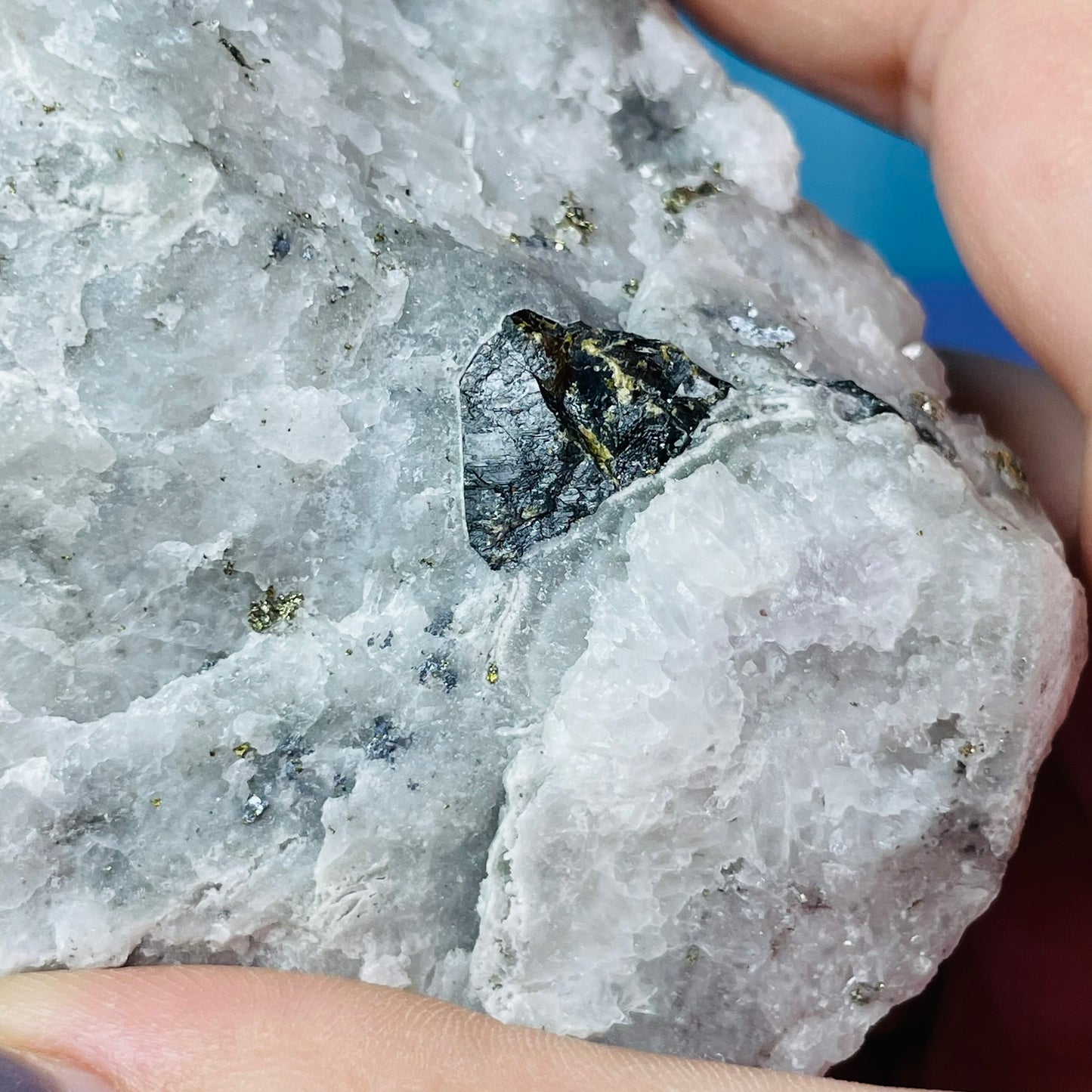 Chrysanthemum  Quartz + Pyrite + Wolframite Medium Cluster Specimen