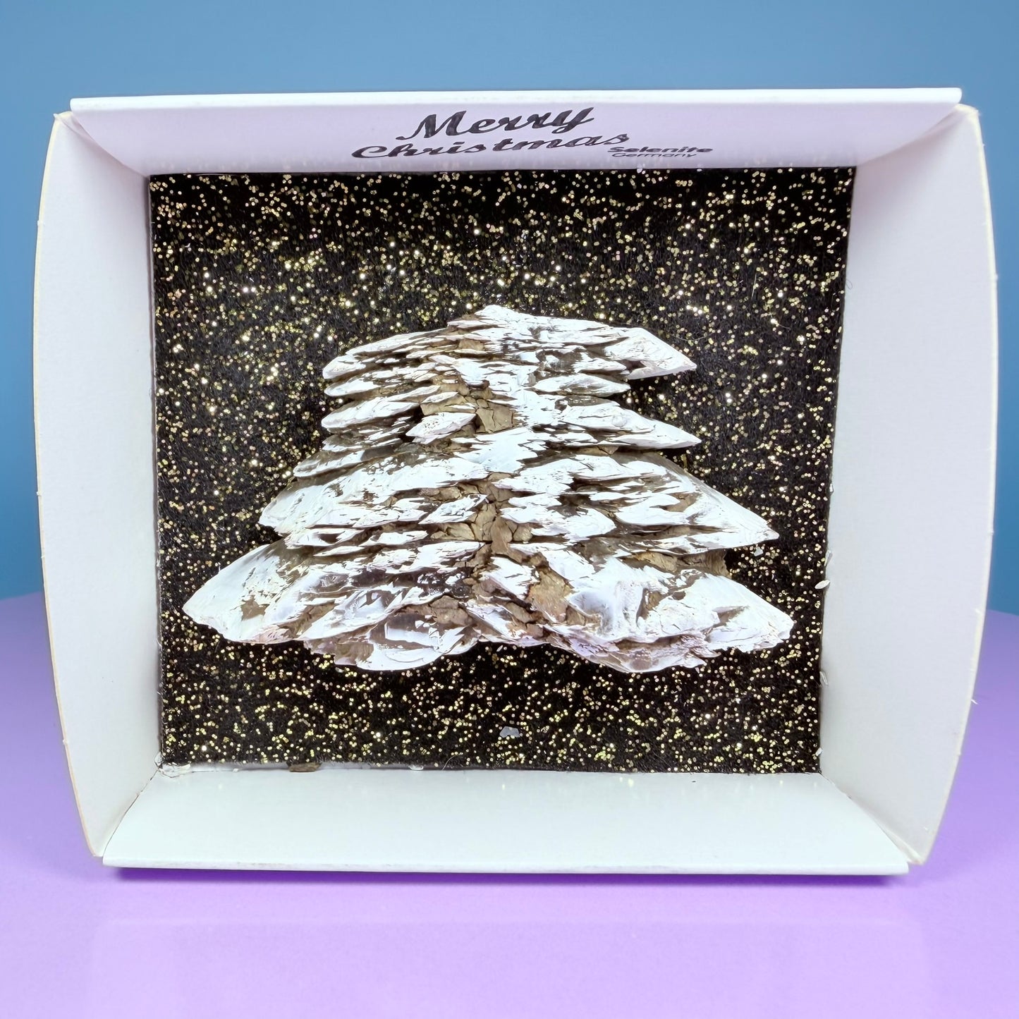 Rare Christmas Tree Selenite Specimen, Germany