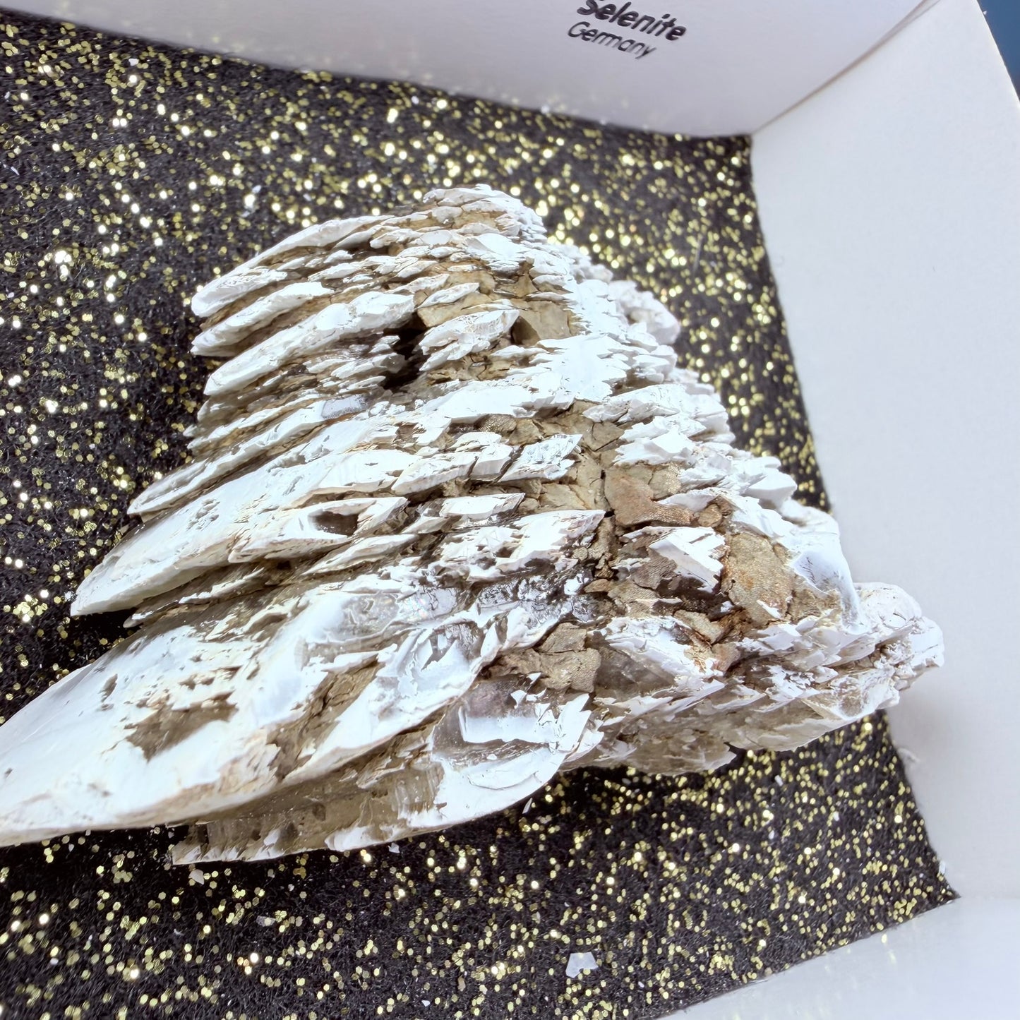 Rare Christmas Tree Selenite Specimen, Germany
