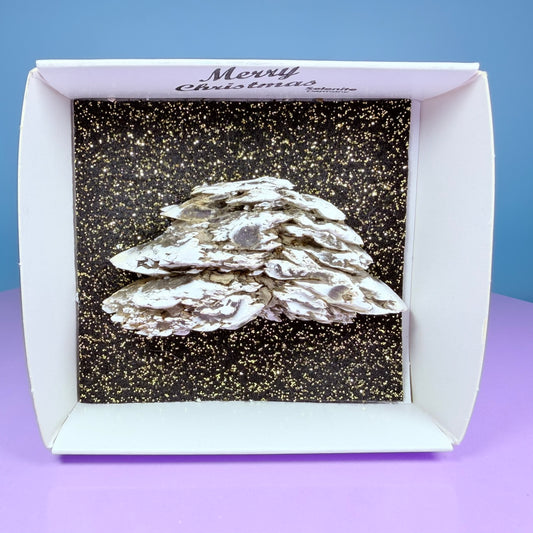 Rare Christmas Tree Selenite Specimen, Germany