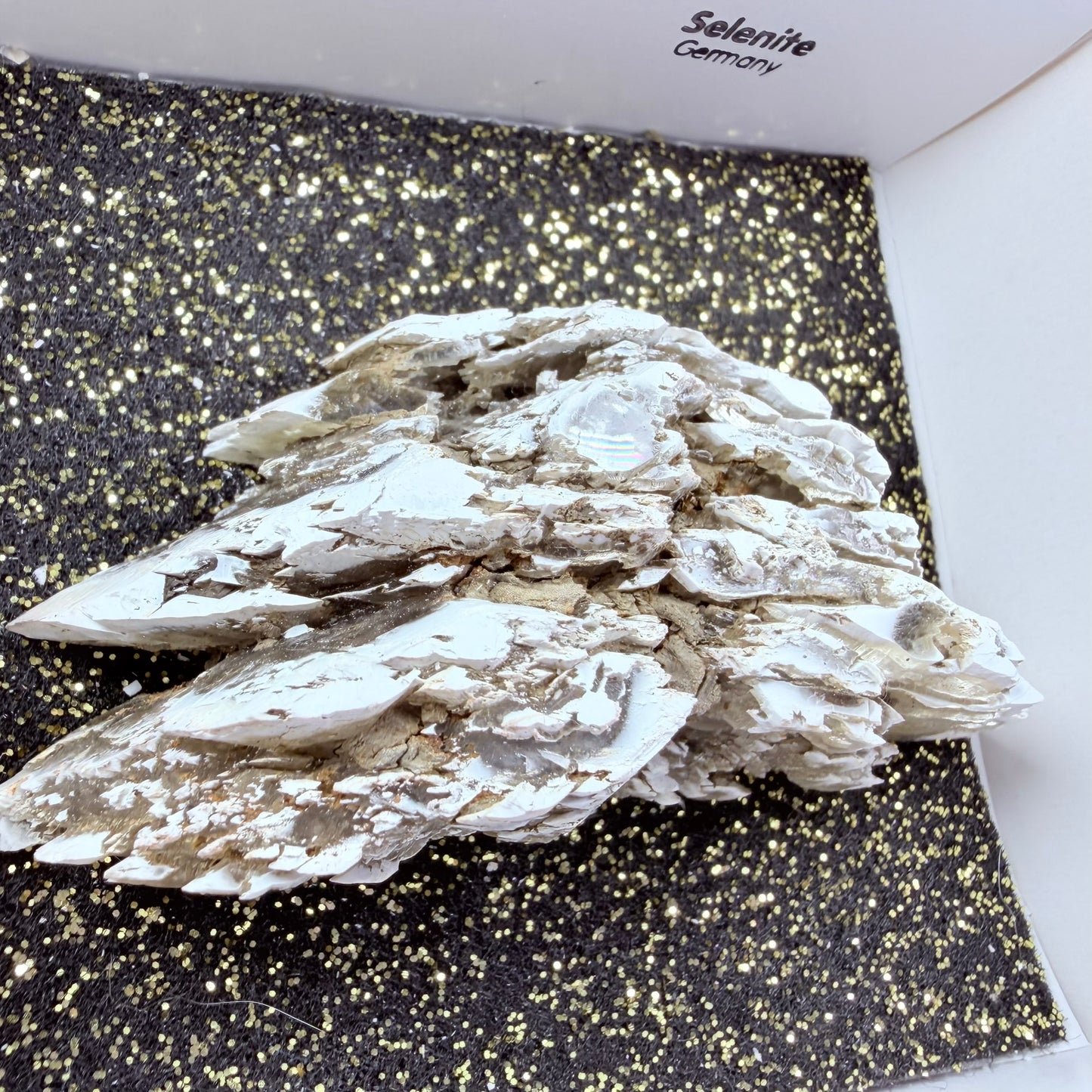 Rare Christmas Tree Selenite Specimen, Germany
