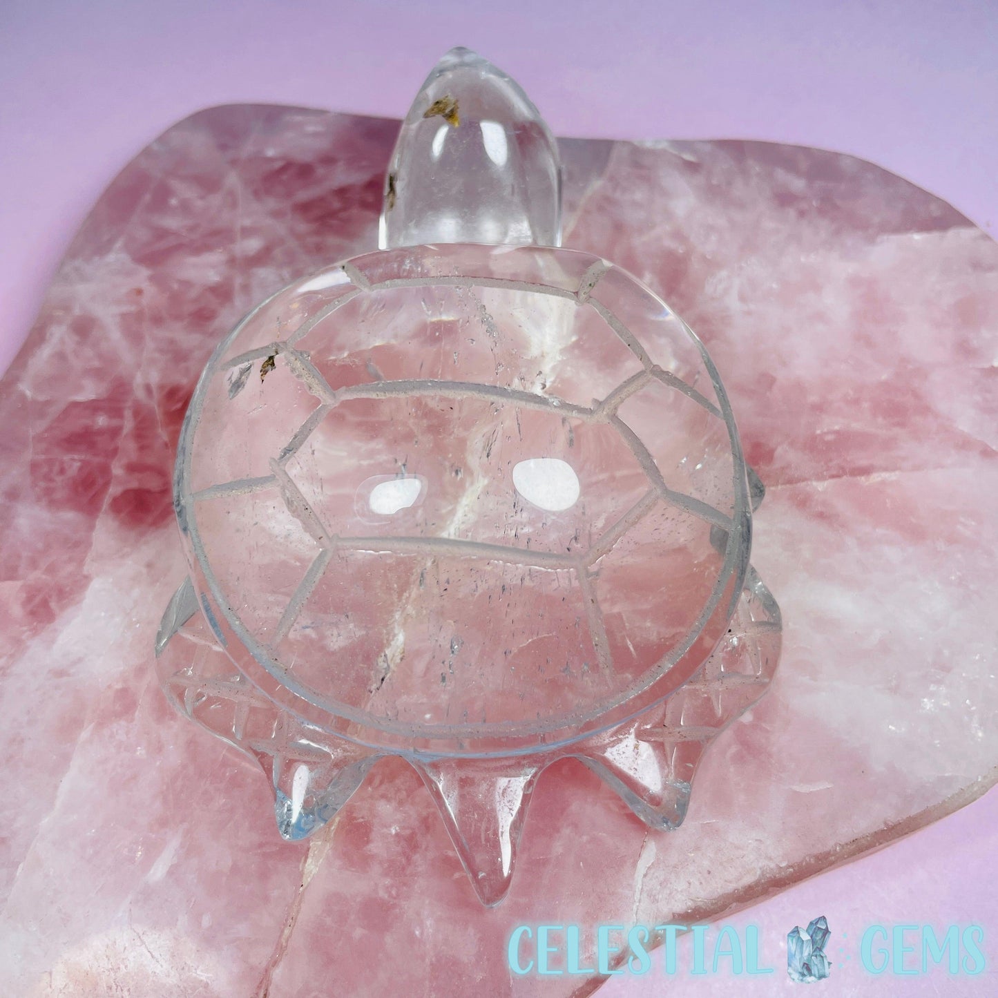Clear Quartz Sea Turtle Medium Carving (Video)
