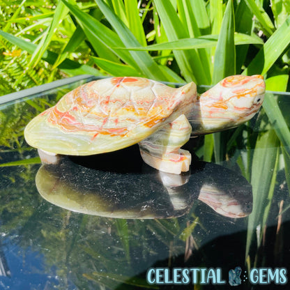 Banded Onyx Calcite Tortoise Large Carving