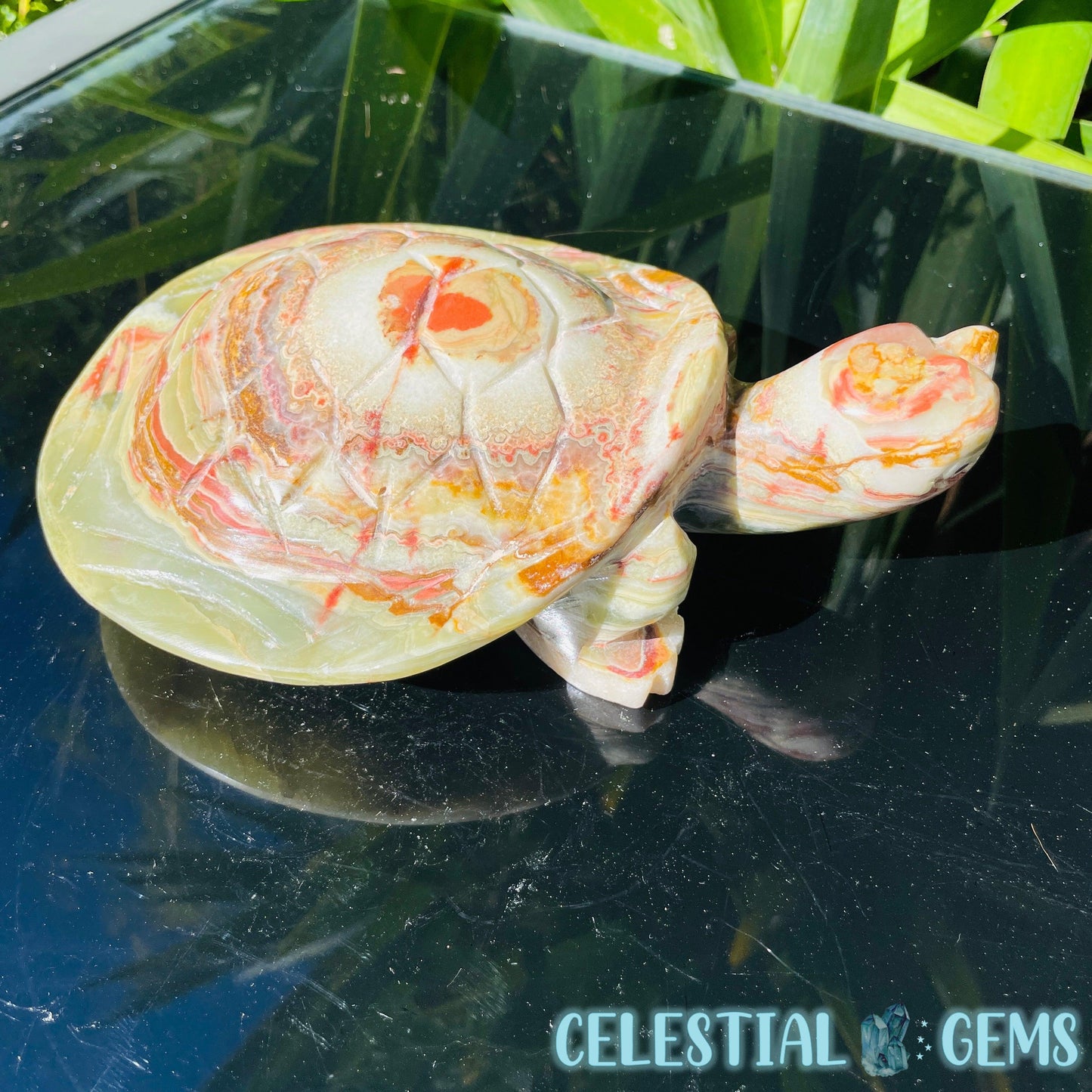 Banded Onyx Calcite Tortoise Large Carving