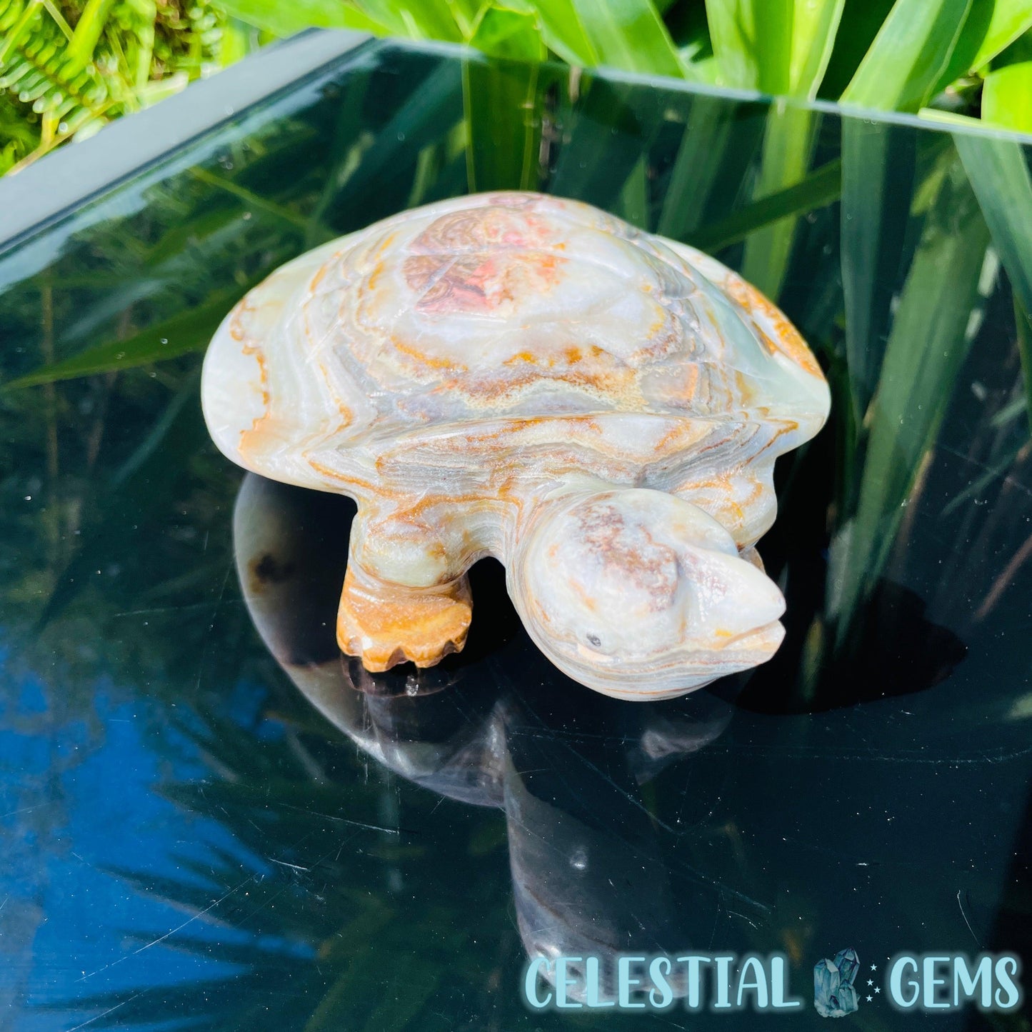 Banded Onyx Calcite Tortoise Large Carving