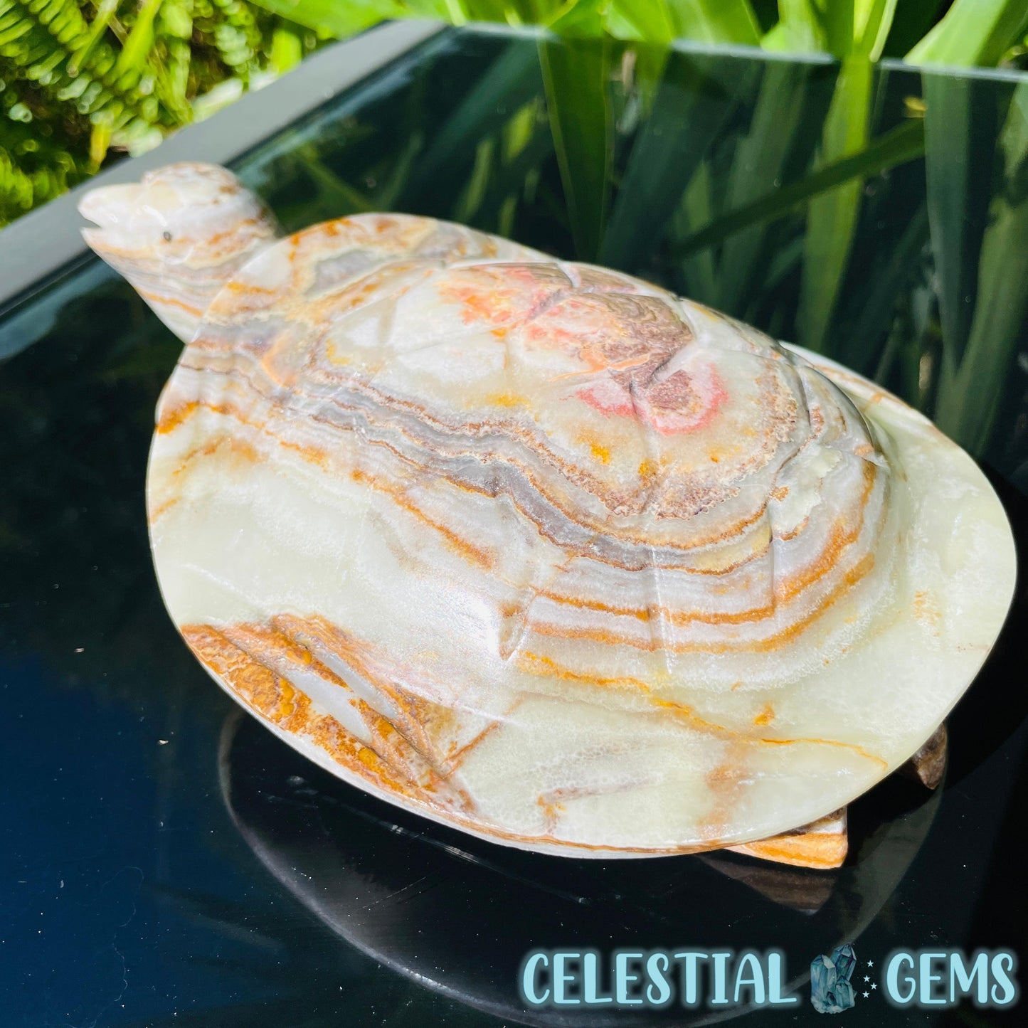 Banded Onyx Calcite Tortoise Large Carving