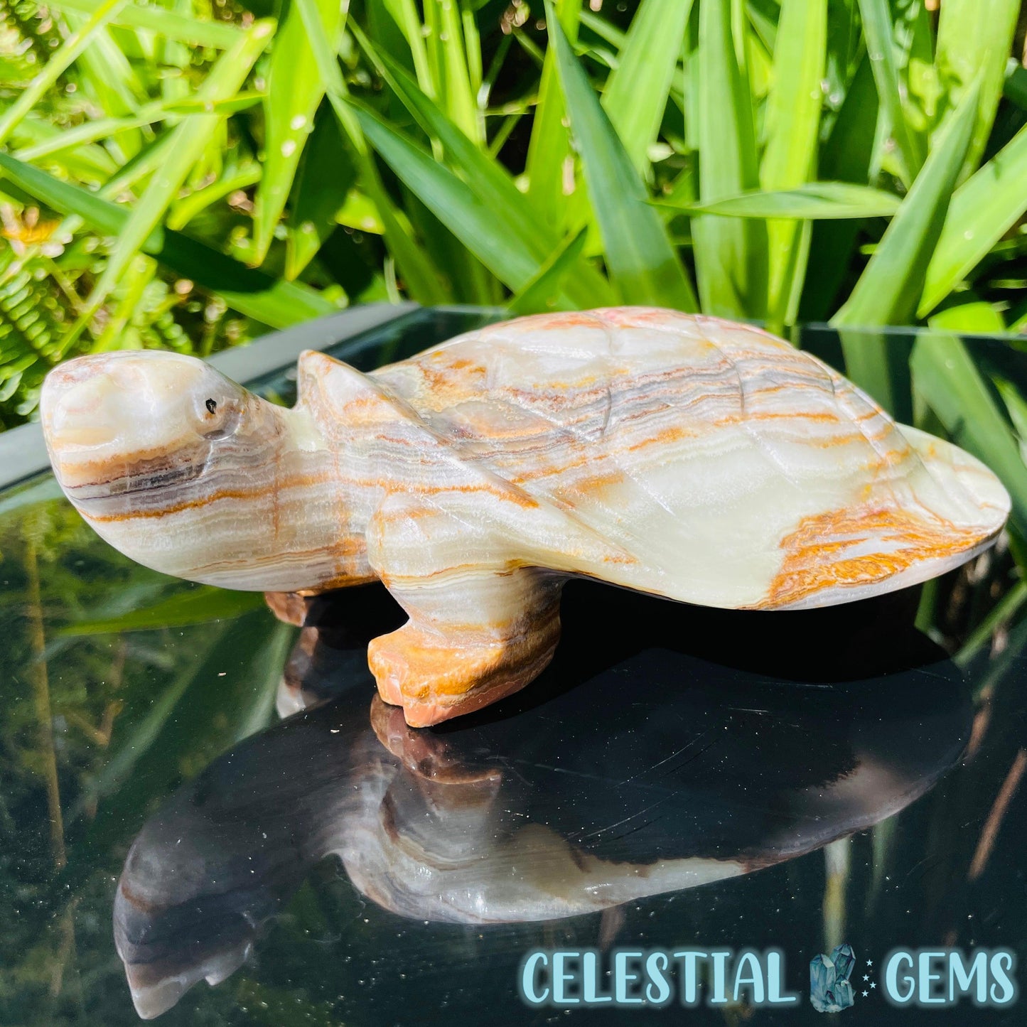 Banded Onyx Calcite Tortoise Large Carving