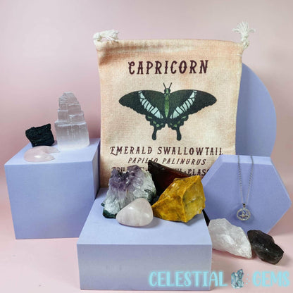 Capricorn Zodiac Deluxe Crystal Saver Set (Includes 925 Silver Necklace!)
