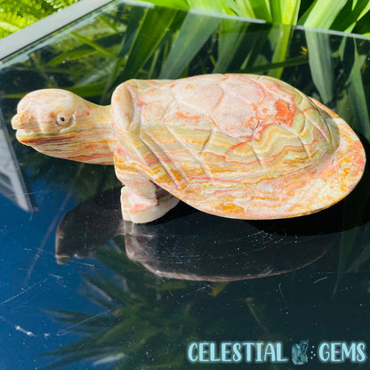 Banded Onyx Calcite Tortoise Large Carving