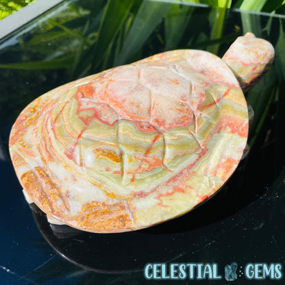 Banded Onyx Calcite Tortoise Large Carving