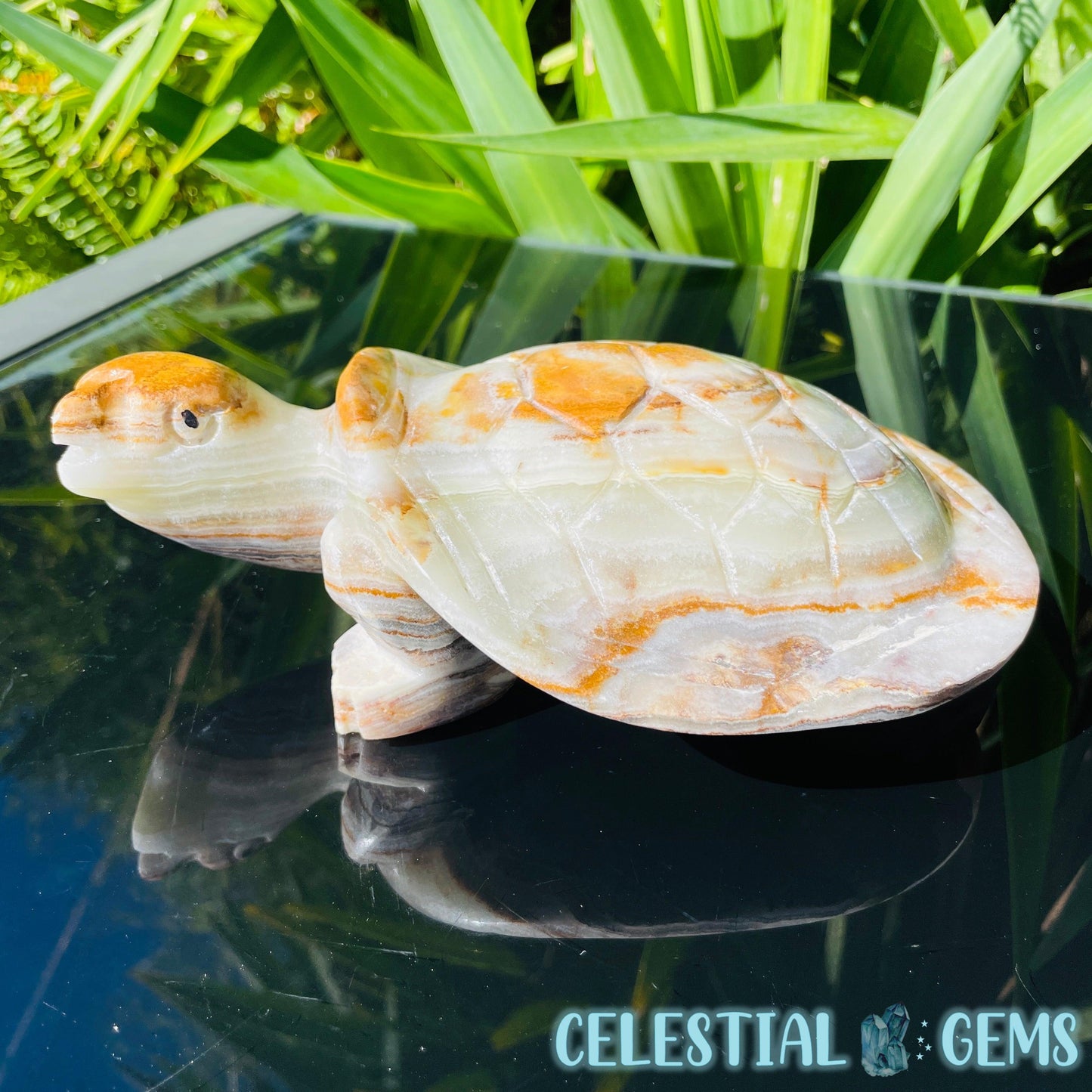 Banded Onyx Calcite Tortoise Large Carving