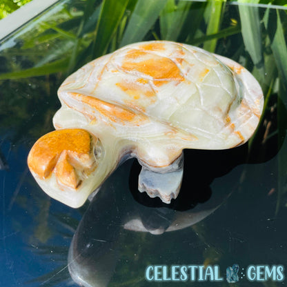 Banded Onyx Calcite Tortoise Large Carving