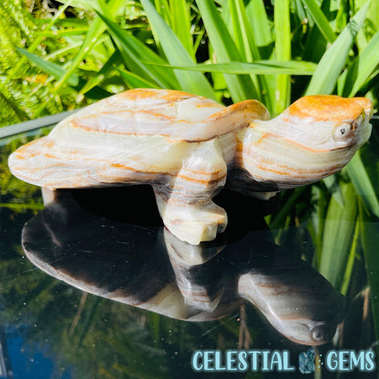 Banded Onyx Calcite Tortoise Large Carving